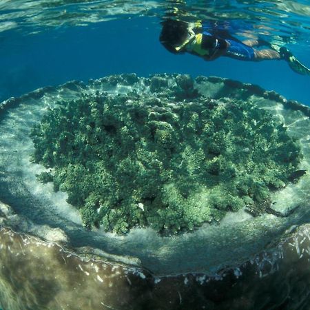 Hotel Sal Salis Ningaloo Reef Exmouth Zewnętrze zdjęcie