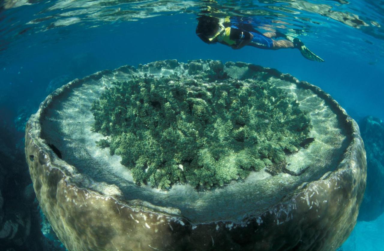 Hotel Sal Salis Ningaloo Reef Exmouth Zewnętrze zdjęcie